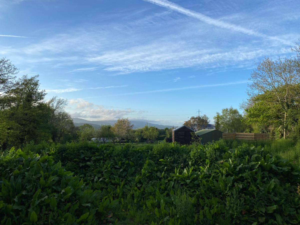 Cosy Double Shepherds Hut In Beautiful Wicklow With Underfloor Heating Throughout Rathnew Екстер'єр фото